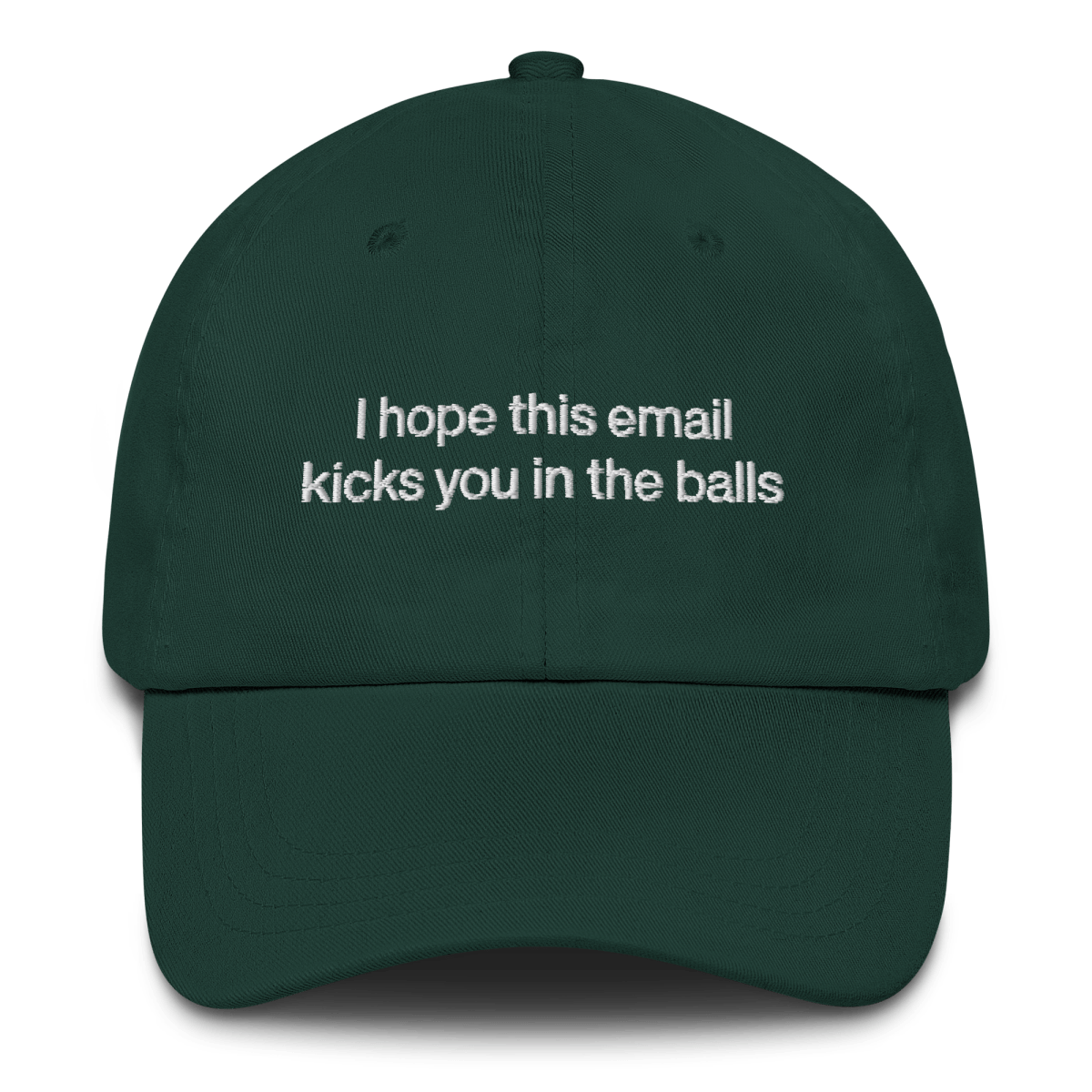 I hope this email kicks you in the balls Embroidered Hat - Polychrome Goods 🍊