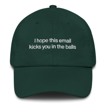 I hope this email kicks you in the balls Embroidered Hat - Polychrome Goods 🍊