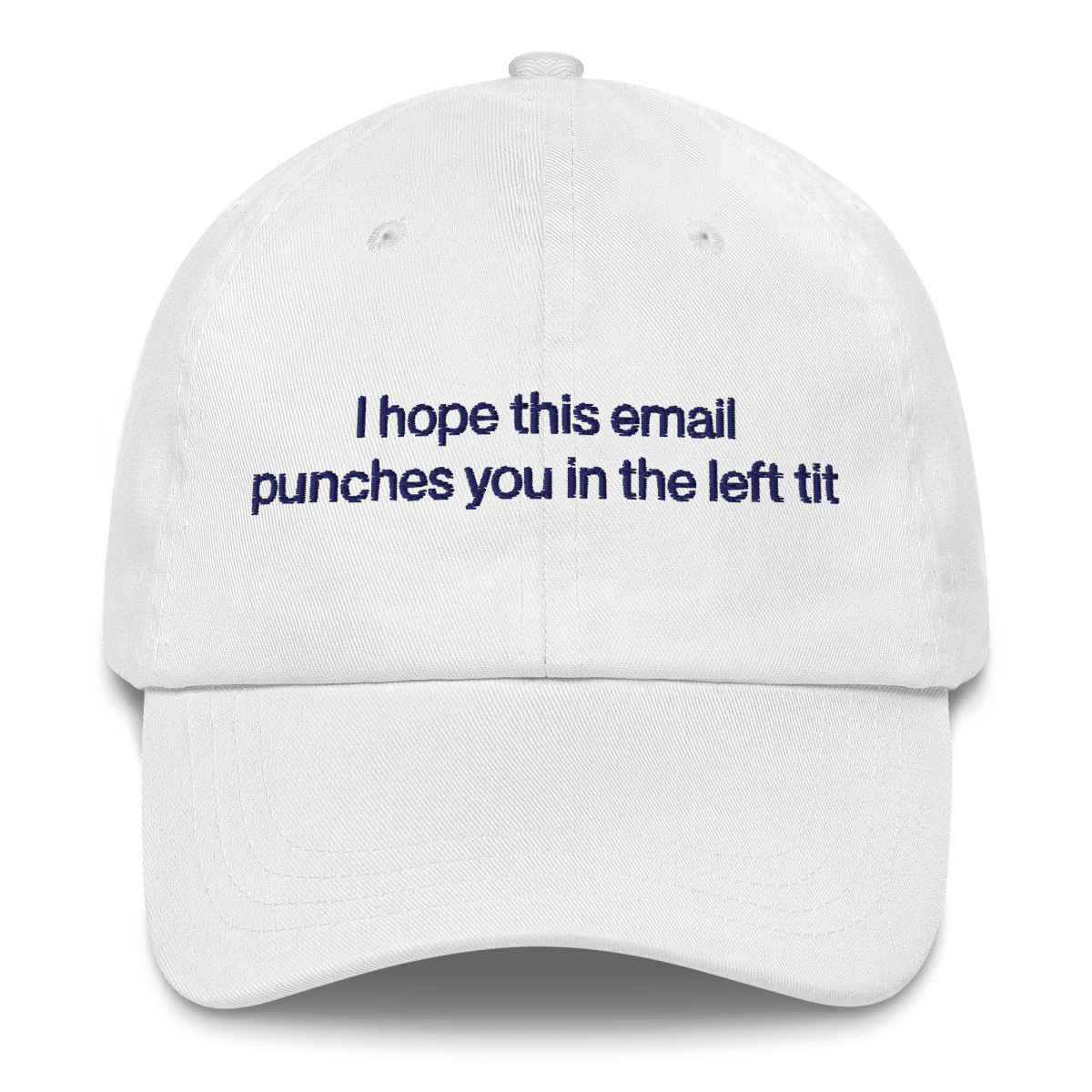 I hope this email punches you in the left tit Embroidered Hat - Polychrome Goods 🍊