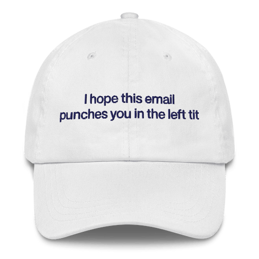 I hope this email punches you in the left tit Embroidered Hat - Polychrome Goods 🍊