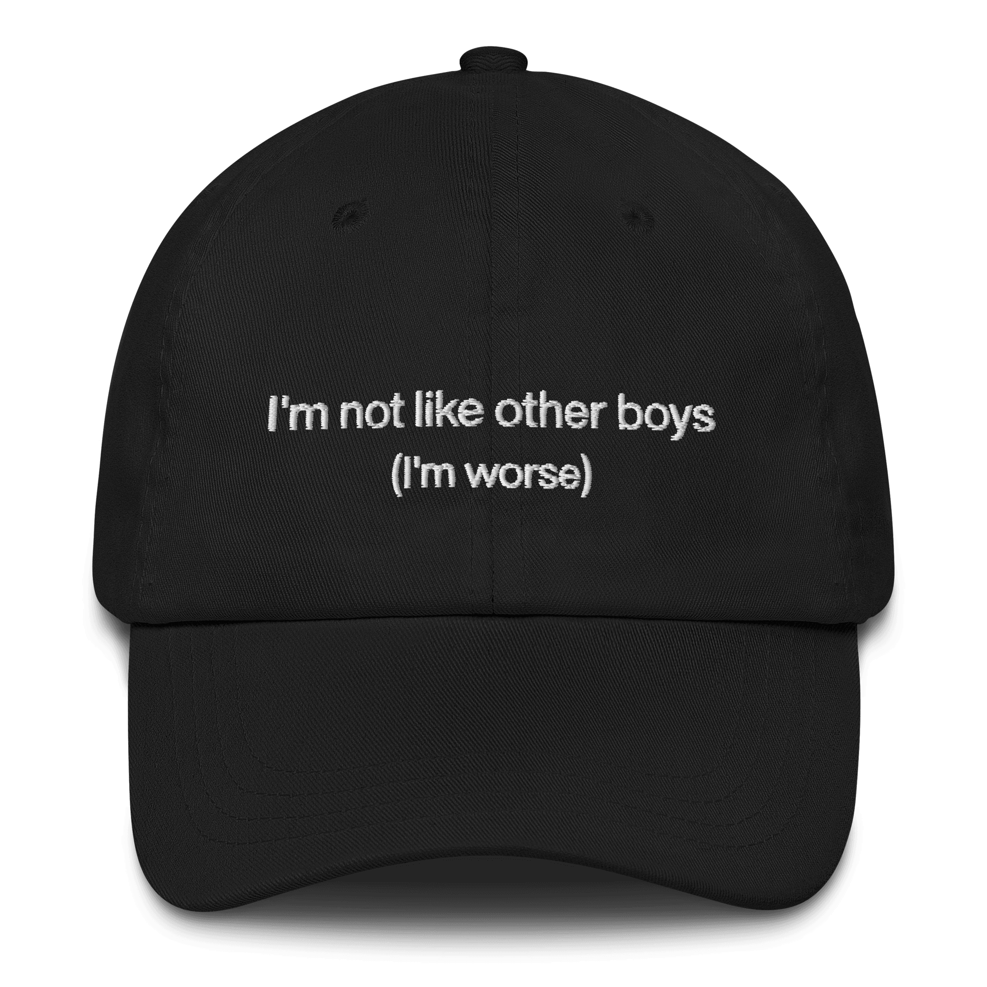 I'm not like the other boys Embroidered Hat - Polychrome Goods 🍊