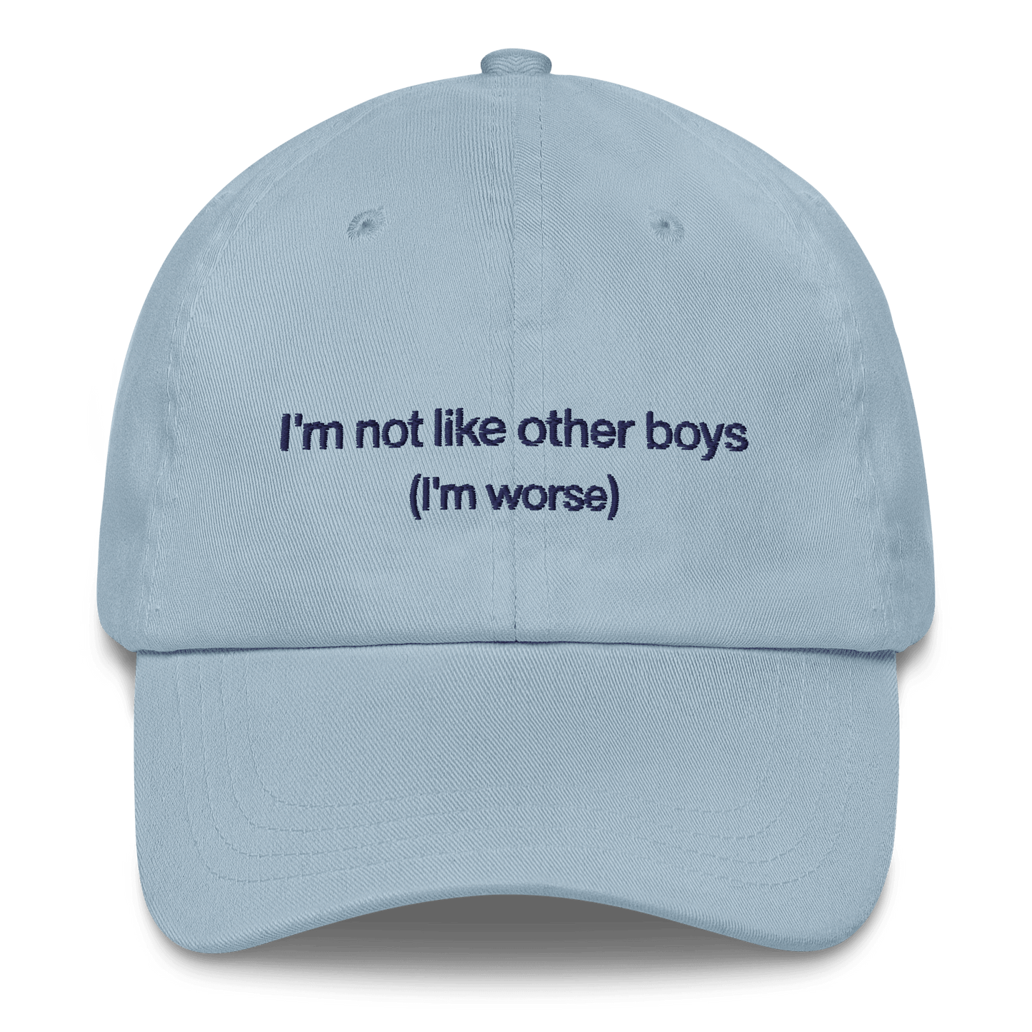 I'm not like the other boys Embroidered Hat - Polychrome Goods 🍊