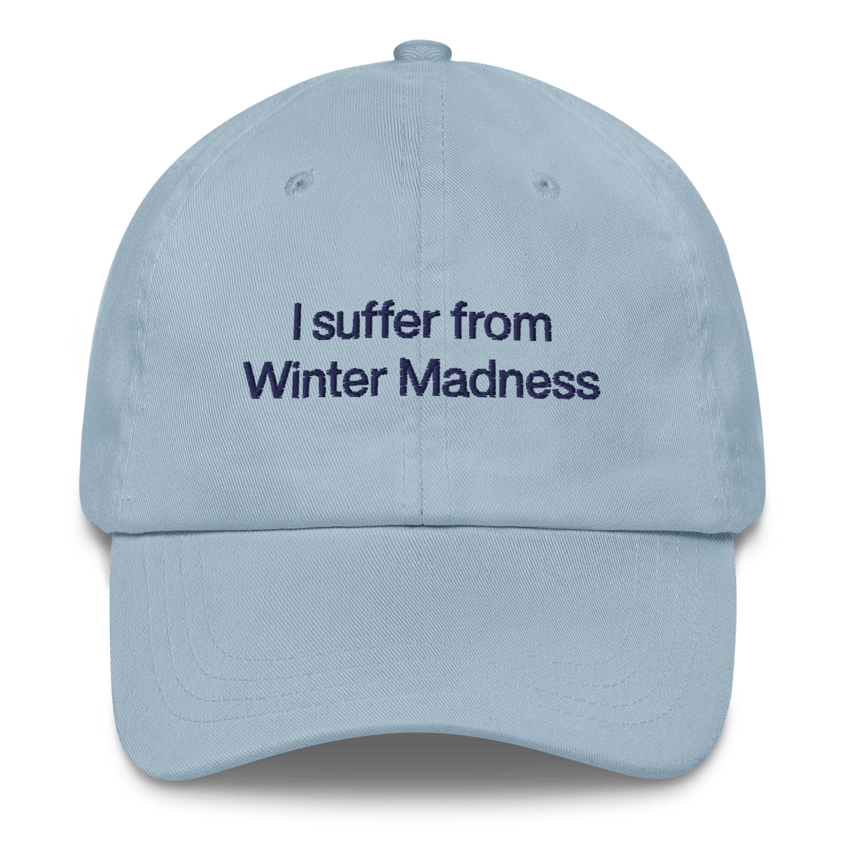 I suffer from Winter Madness Embroidered Hat - Polychrome Goods 🍊