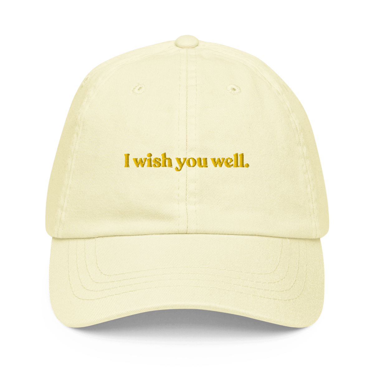 "I Wish You Well" Gwyneth Paltrow Trial Hat - Polychrome Goods 🍊