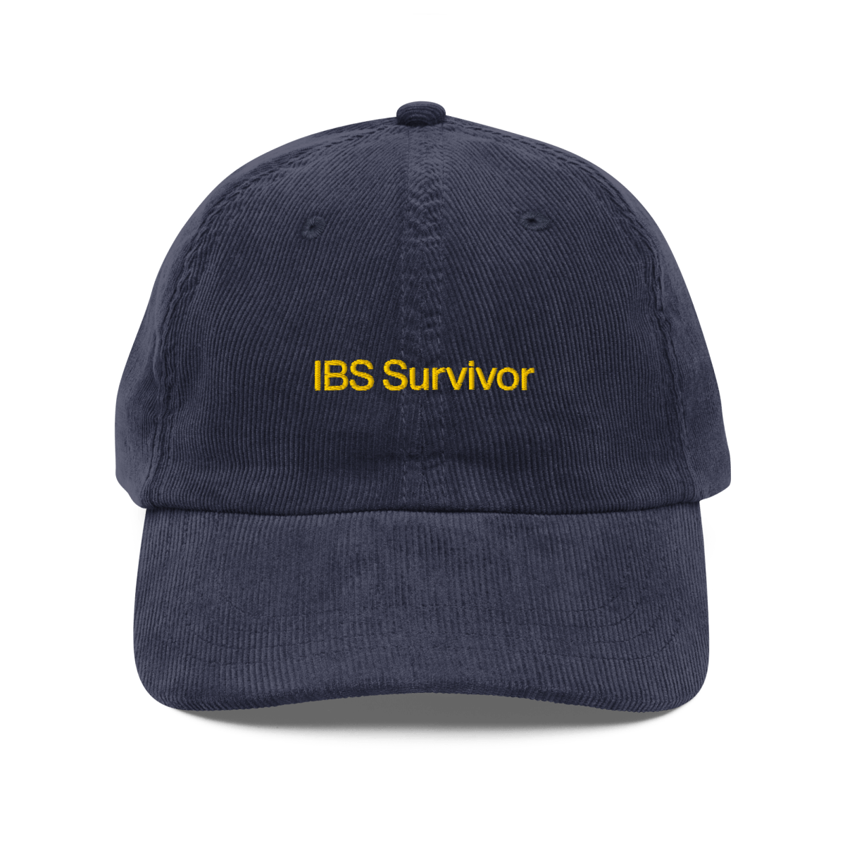 "IBS Survivor" Dad Hat - 30 Rock Quote Hat - Polychrome Goods 🍊