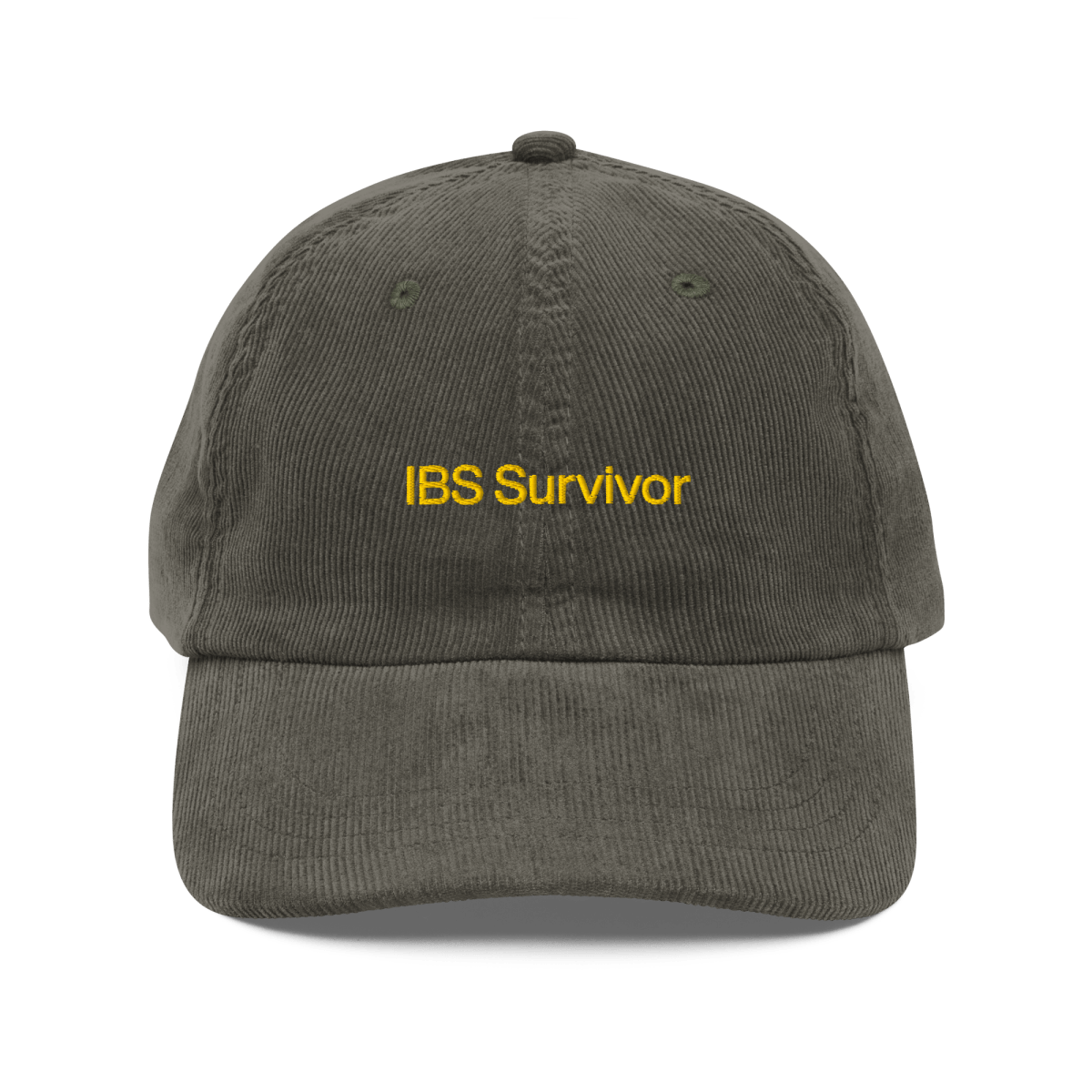 "IBS Survivor" Dad Hat - 30 Rock Quote Hat - Polychrome Goods 🍊