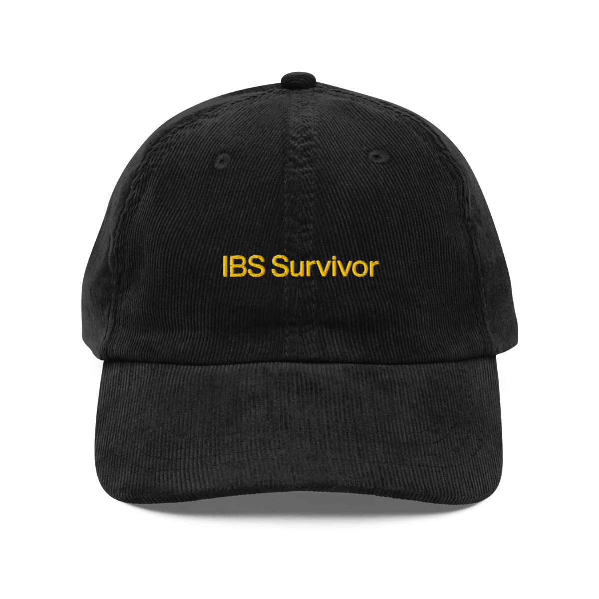 "IBS Survivor" Dad Hat - 30 Rock Quote Hat - Polychrome Goods 🍊