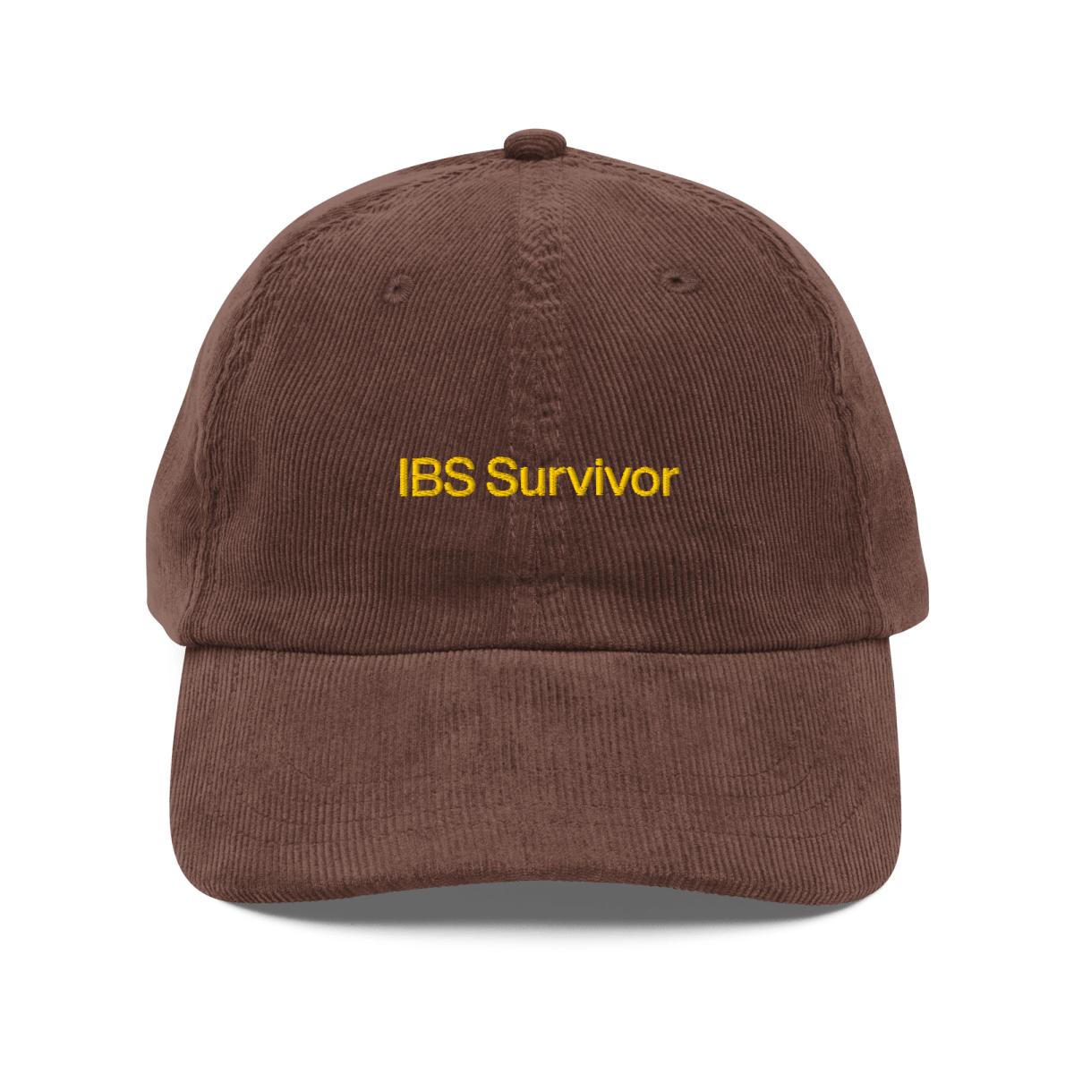 "IBS Survivor" Dad Hat - 30 Rock Quote Hat - Polychrome Goods 🍊