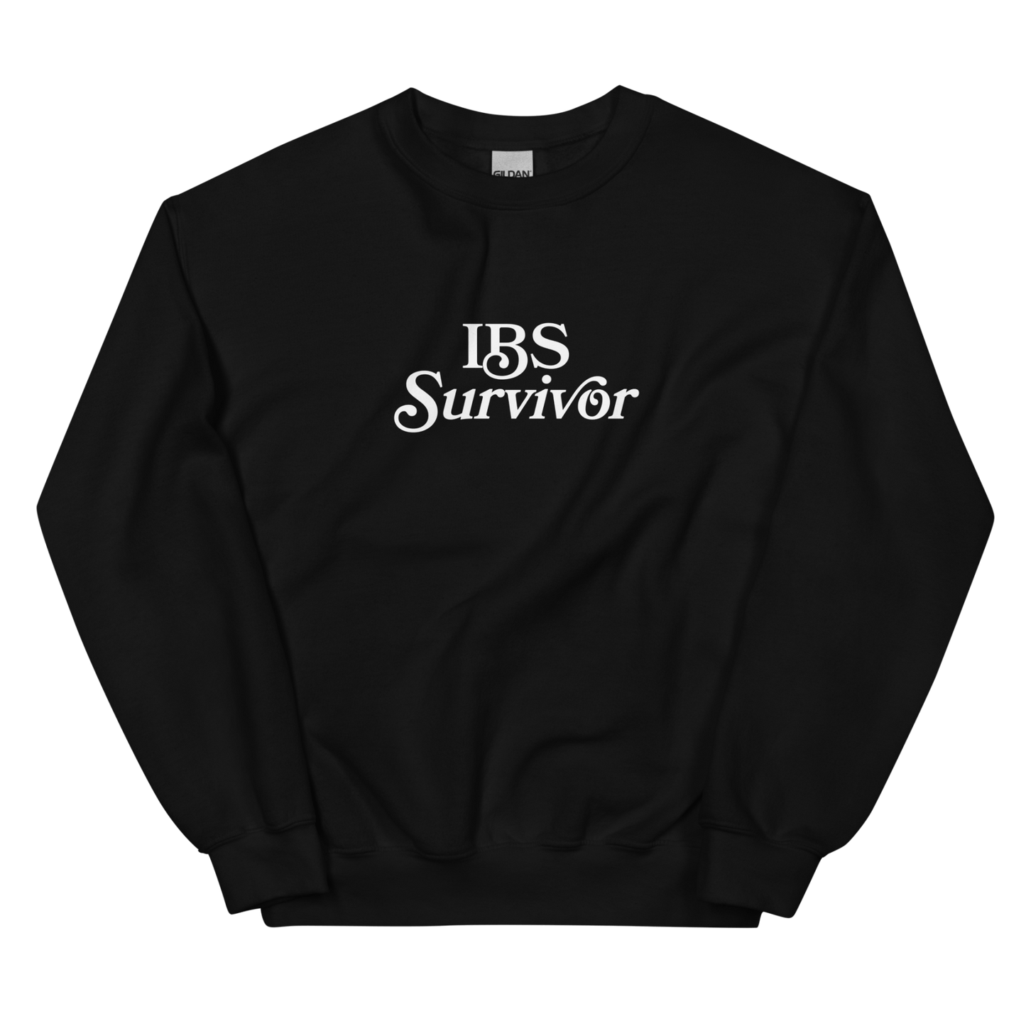 IBS Survivor Sweatshirt - Polychrome Goods 🍊