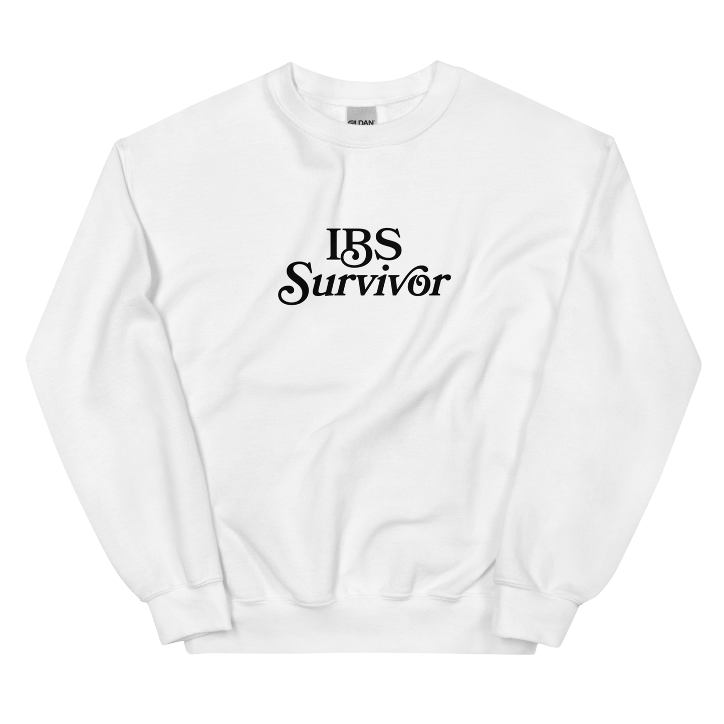 IBS Survivor Sweatshirt - Polychrome Goods 🍊