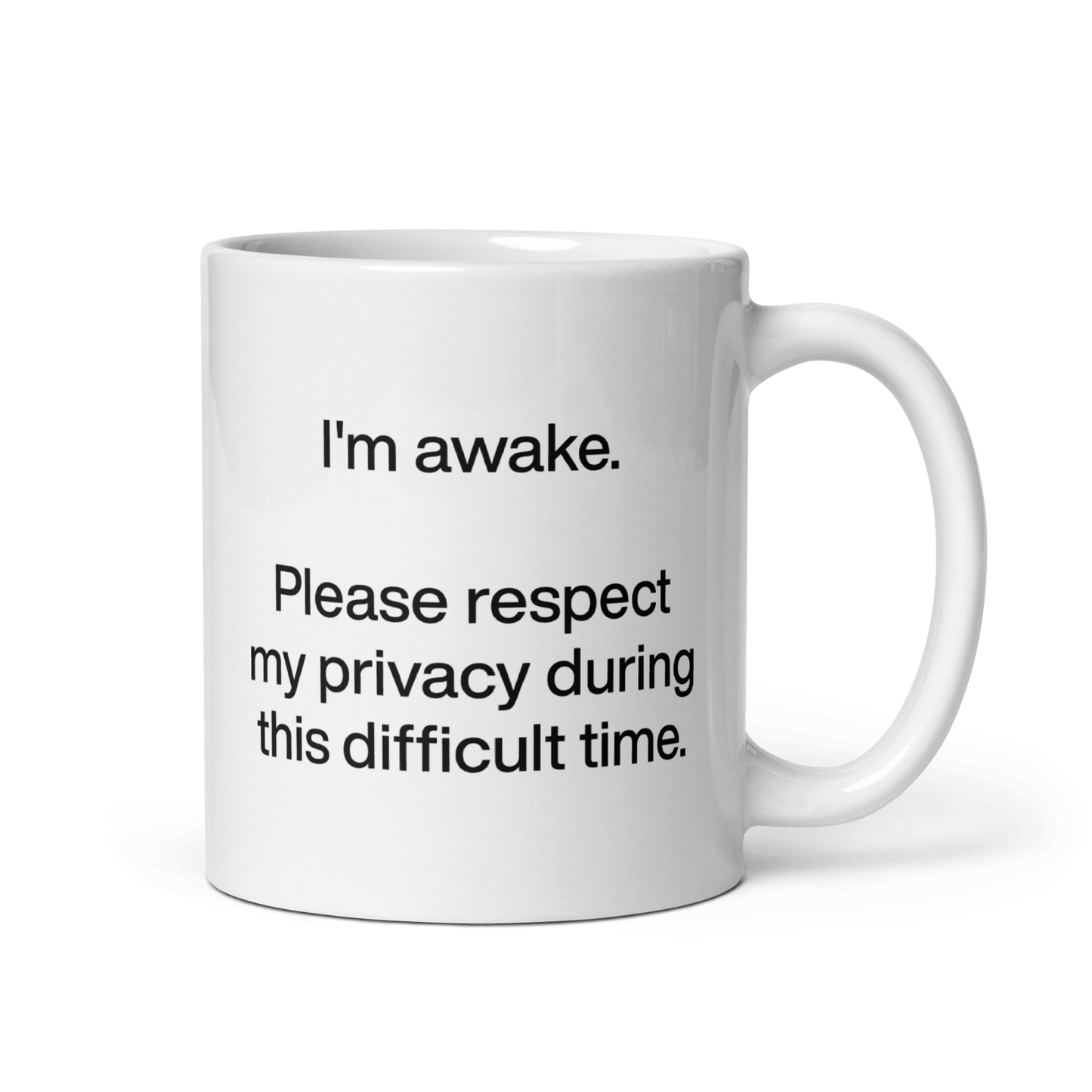 I'm awake. Please respect my privacy during this difficult time. Mug - Polychrome Goods