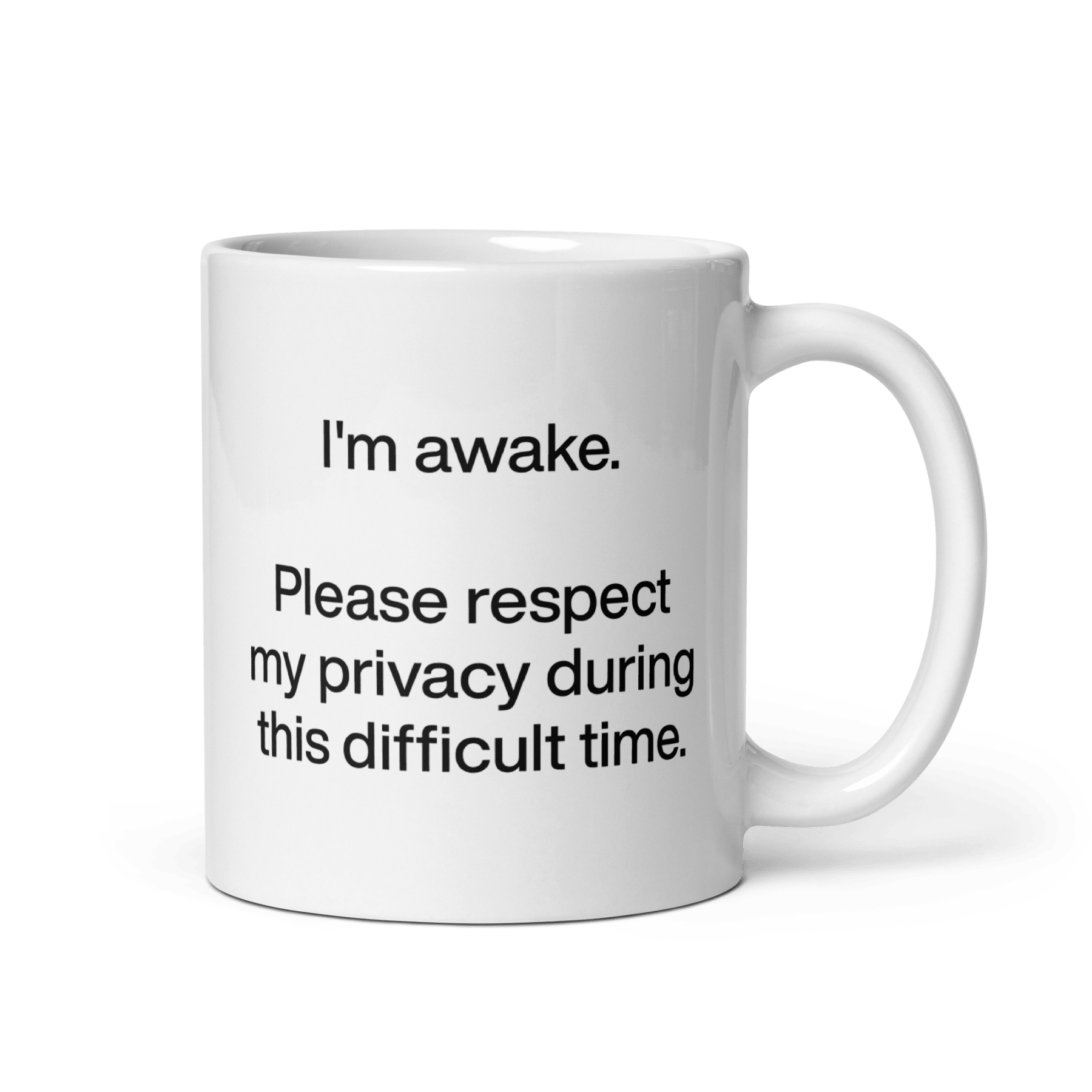 I'm awake. Please respect my privacy during this difficult time. Mug - Polychrome Goods