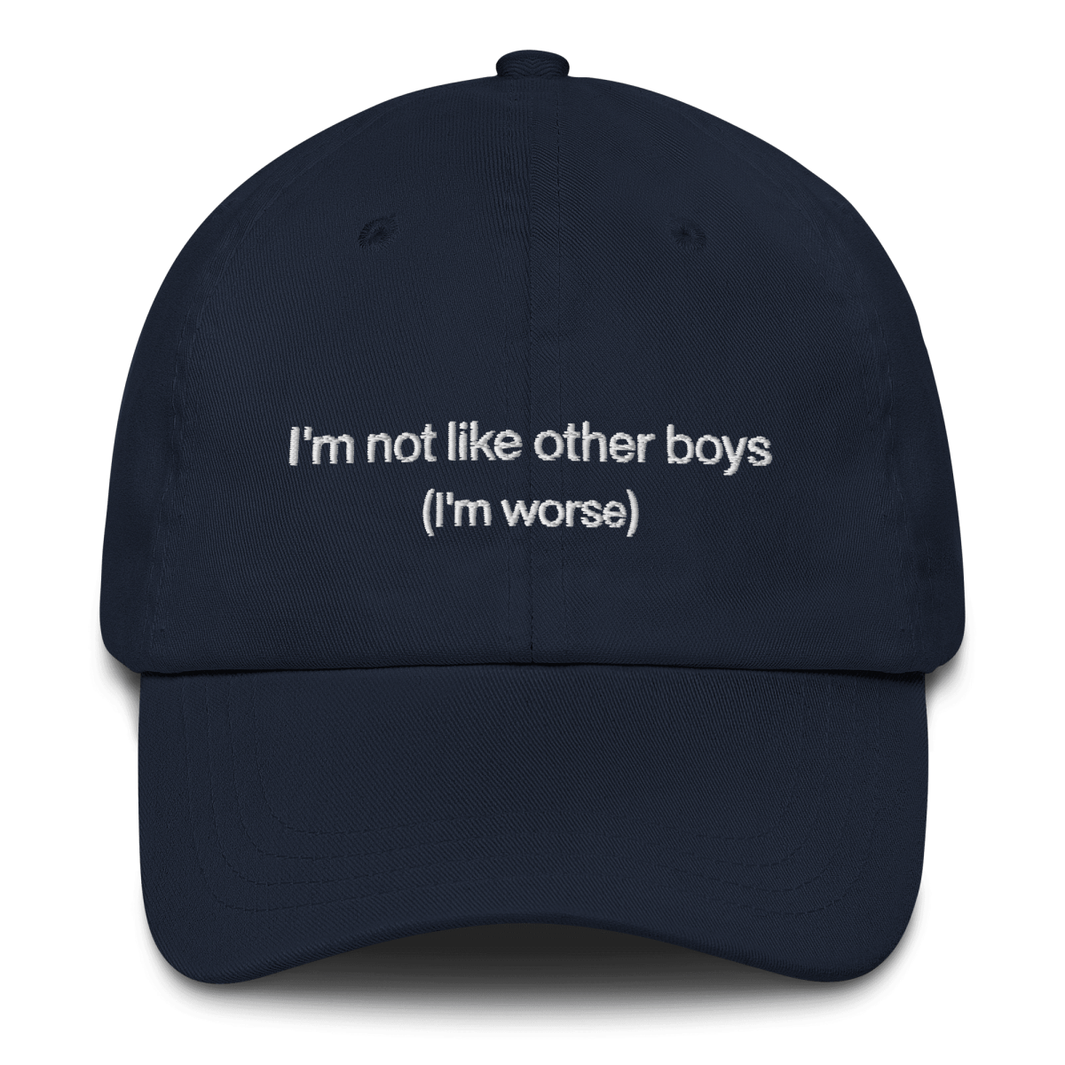 I'm not like the other boys Embroidered Hat - Polychrome Goods 🍊