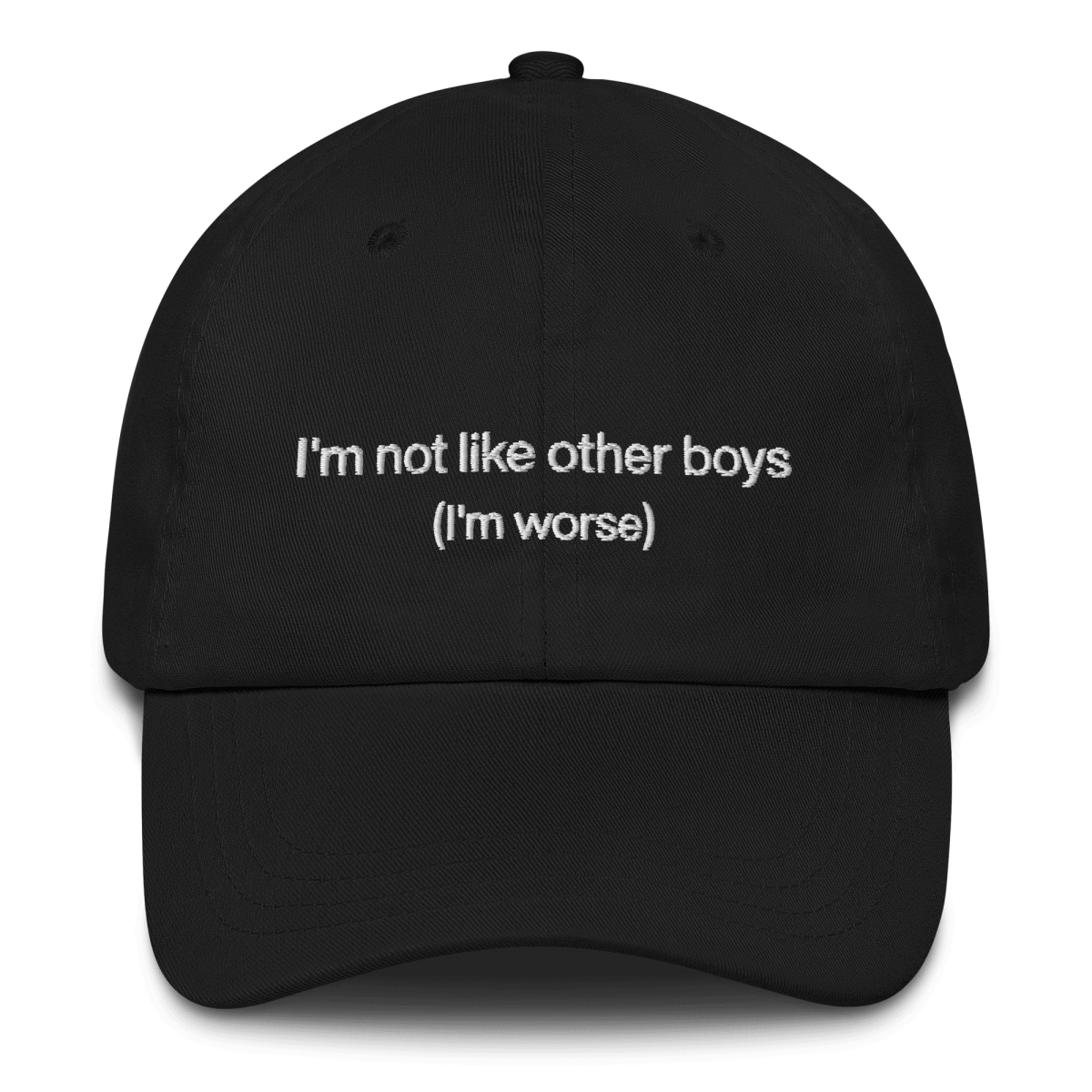 I'm not like the other boys Embroidered Hat - Polychrome Goods 🍊