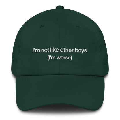 I'm not like the other boys Embroidered Hat - Polychrome Goods 🍊