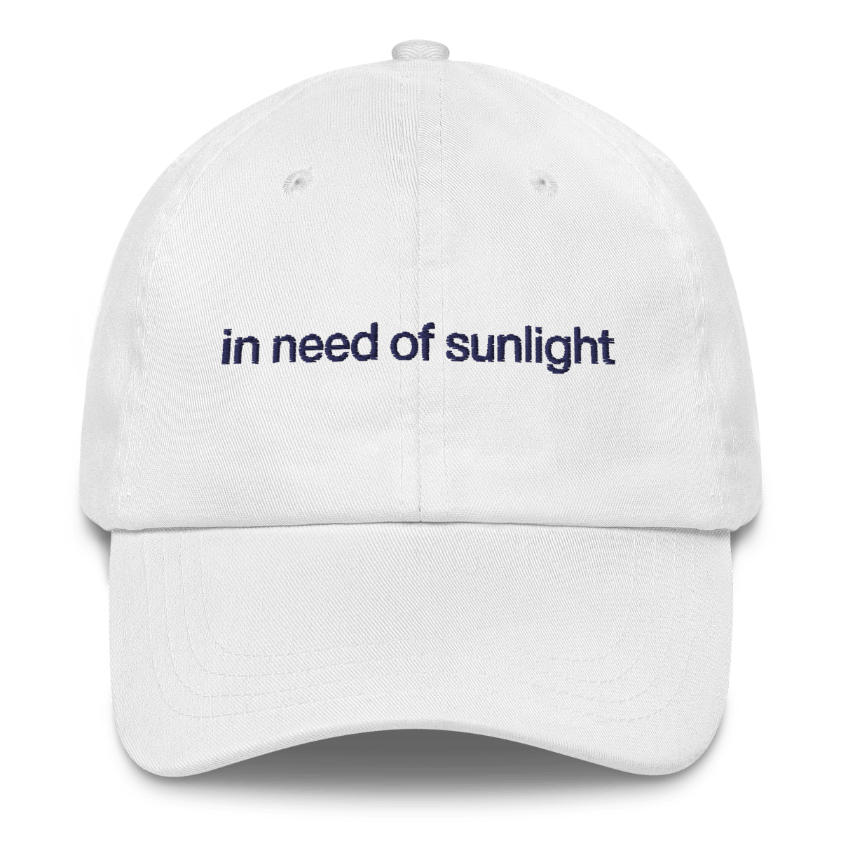 In Need of Sunlight Embroidered Hat - Polychrome Goods 🍊