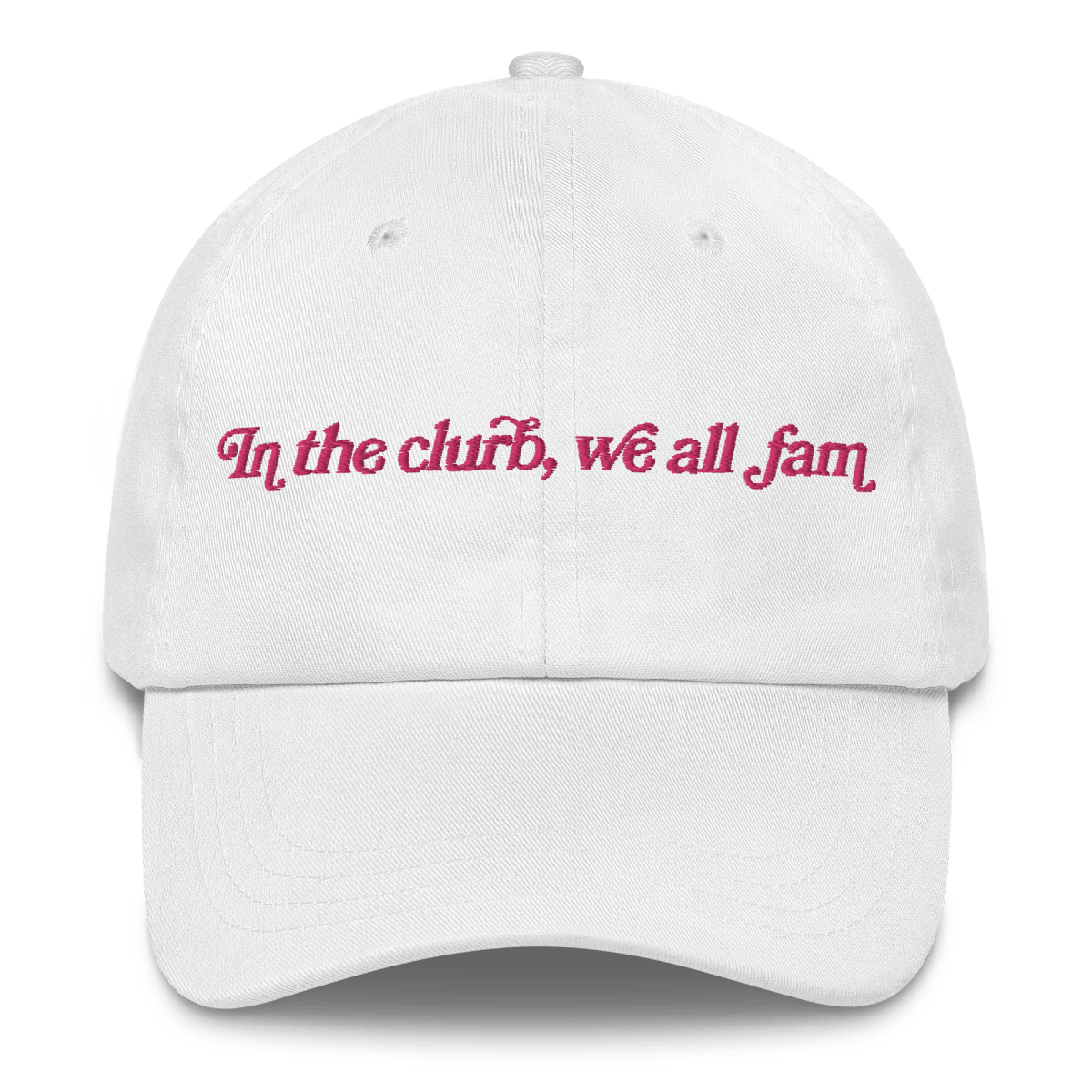 In the clurb, we all fam Embroidered Hat - Polychrome Goods 🍊