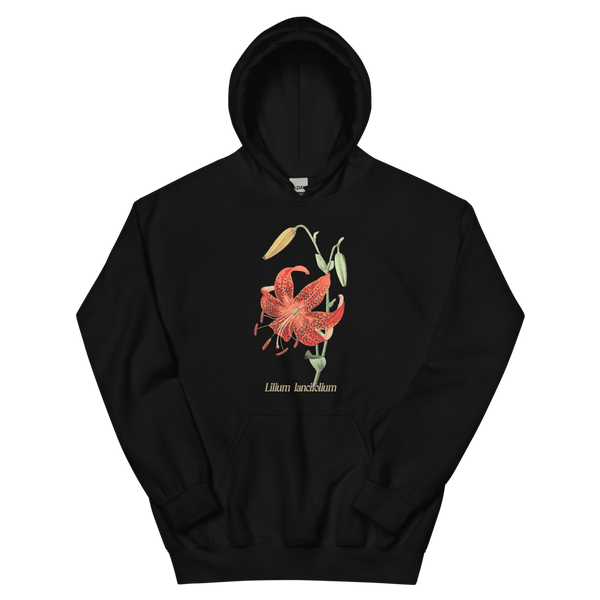 lilium-lancifolium-tiger-lily-