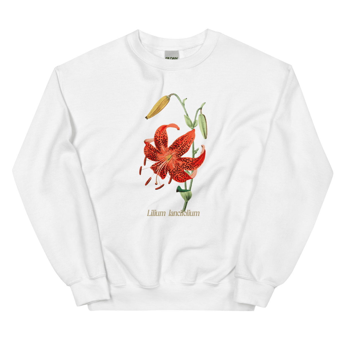 Lilium Lancifolium Tiger Lily Flower Sweatshirt - Polychrome Goods 🍊