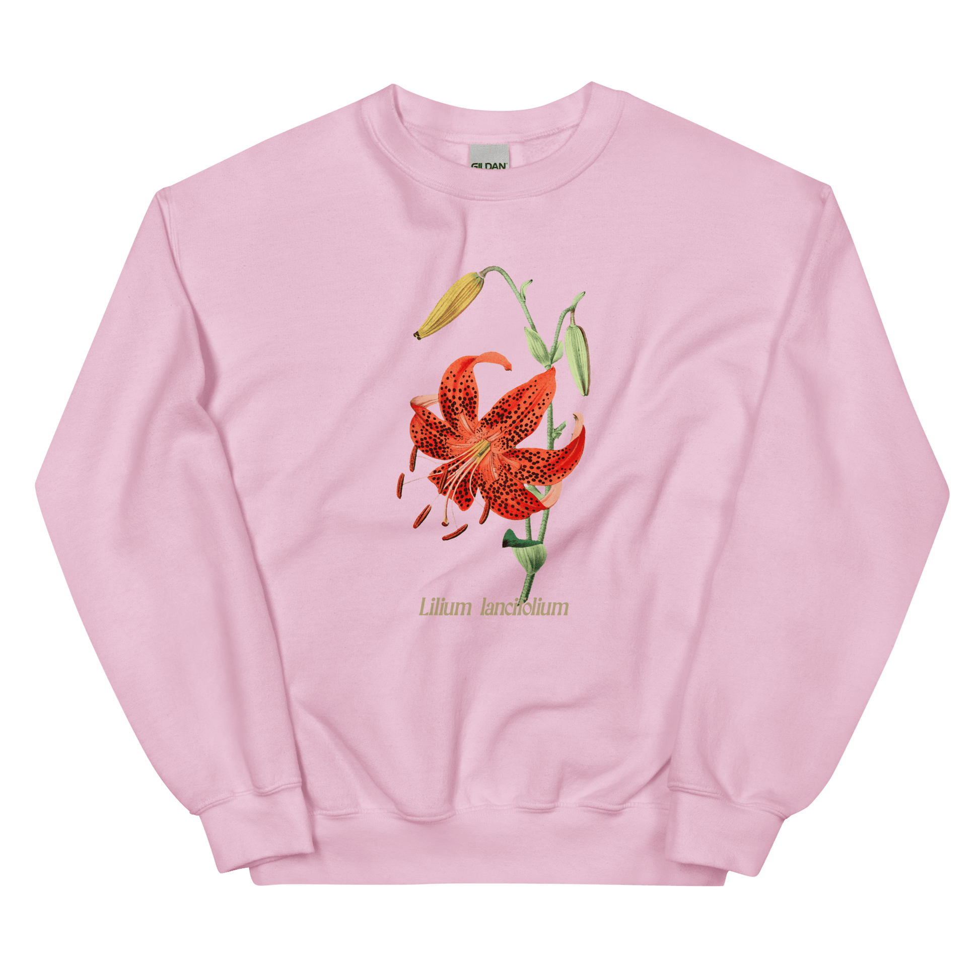 Lilium Lancifolium Tiger Lily Flower Sweatshirt - Polychrome Goods 🍊