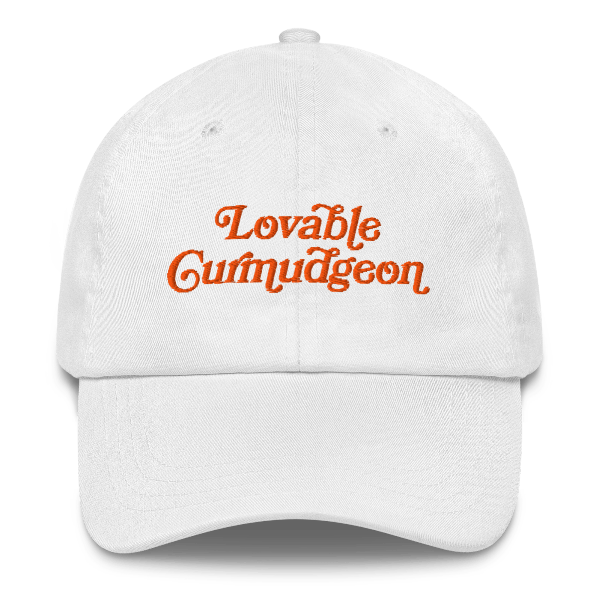 Lovable Curmudgeon Embroidered Hat - Polychrome Goods 🍊