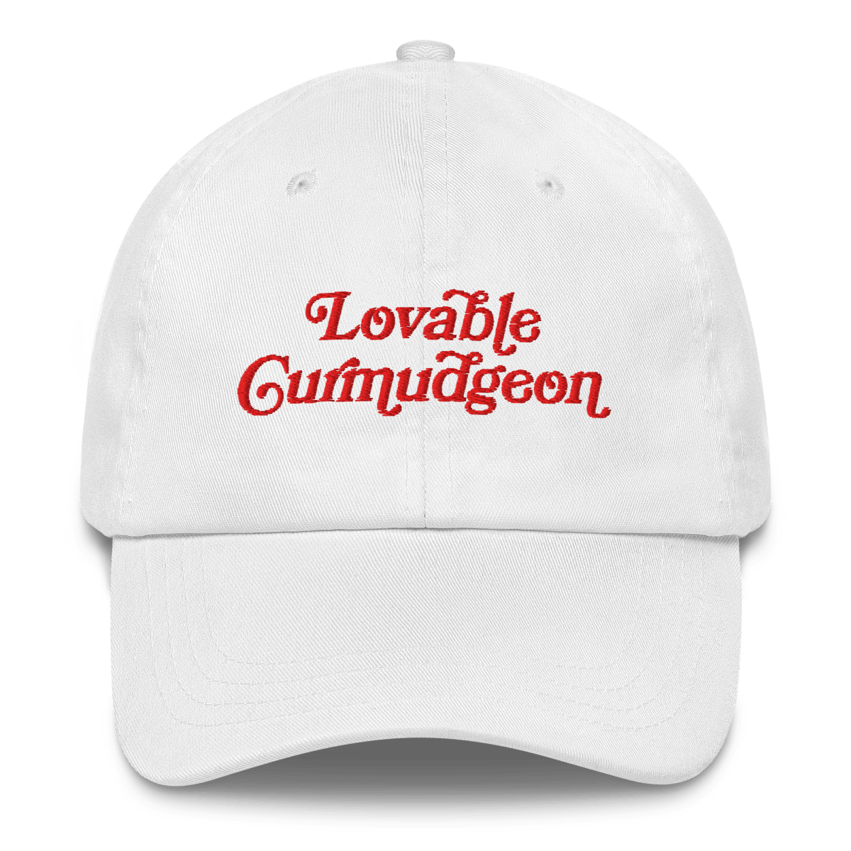 Lovable Curmudgeon Embroidered Hat - Polychrome Goods 🍊