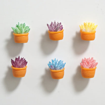 Mini Succulent Refrigerator Magnets (Set of 6) - Polychrome Goods 🍊