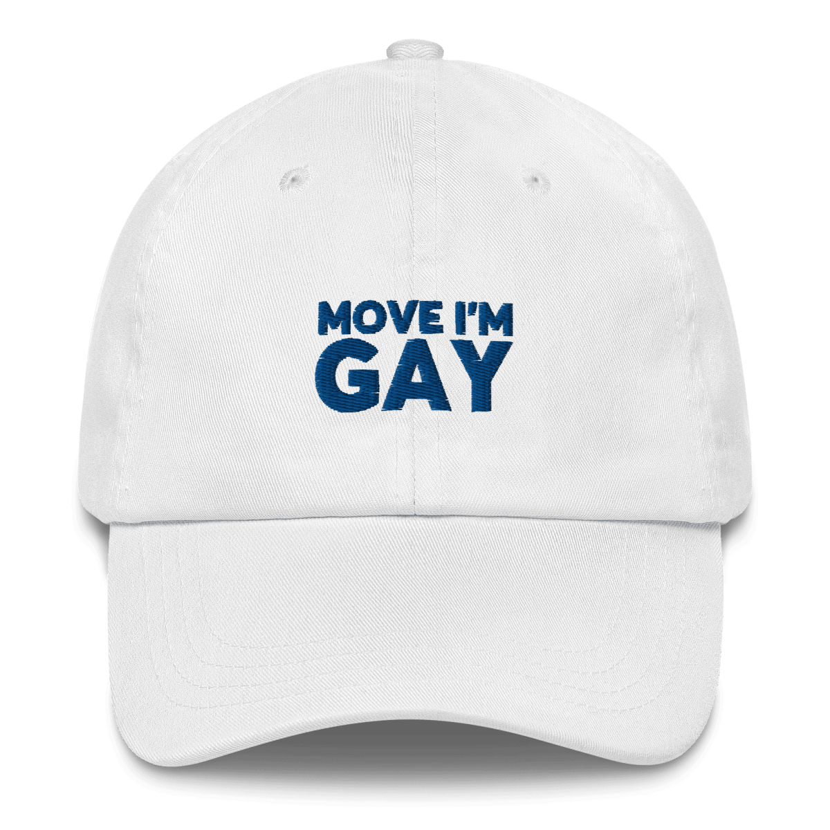 Move I'm GAY Embroidered Hat for Pride - Polychrome Goods 🍊