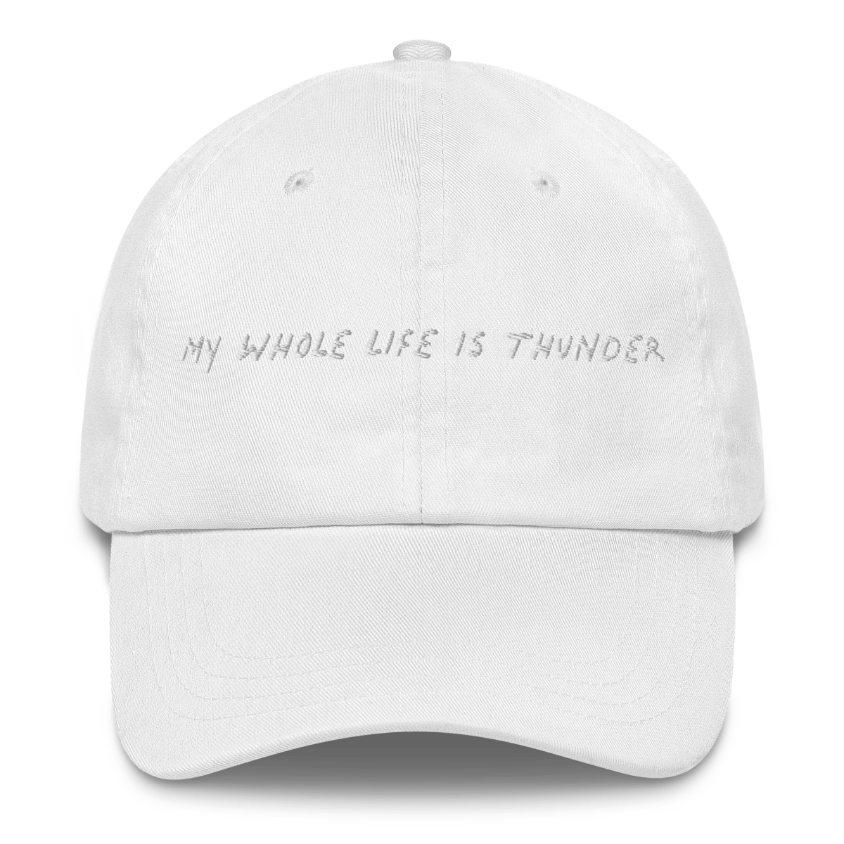 MY WHOLE LIFE IS THUNDER Embroidered Hat - Polychrome Goods 🍊