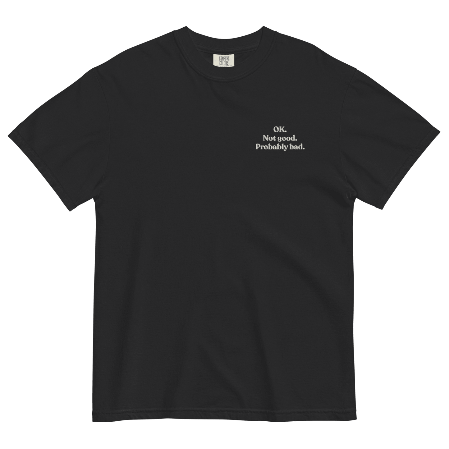 OK. Not Good. Probably Bad. Embroidered T-Shirt - Polychrome Goods