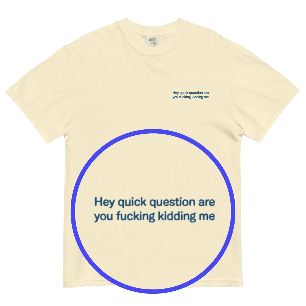 Hey quick question are you fucking kidding me Embroidered T-Shirt - Polychrome Goods 🍊