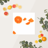 Oranges Poster | Joom Original Artwork Polychrome Goods