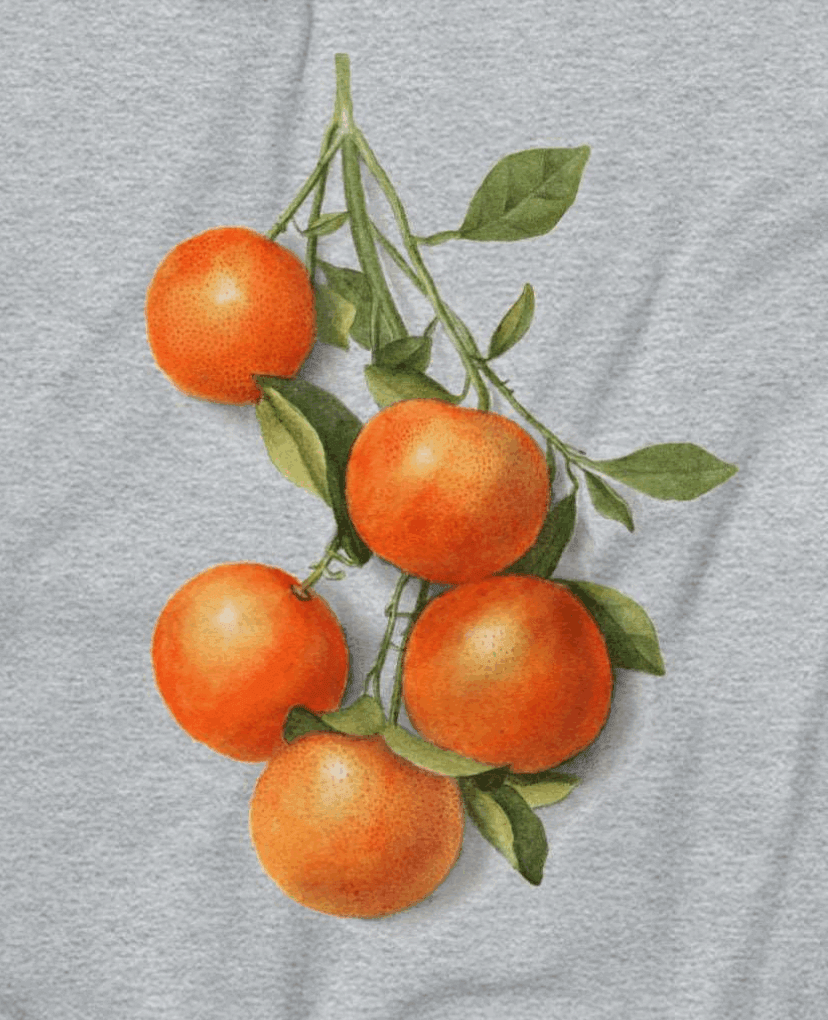 Branch with Oranges Unisex Sweatshirt Polychrome Goods