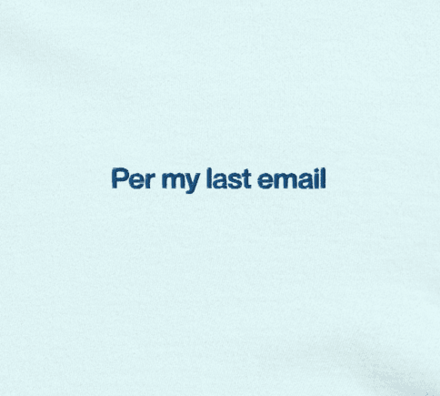 Per my last email Embroidered T-shirt - Polychrome Goods 🍊