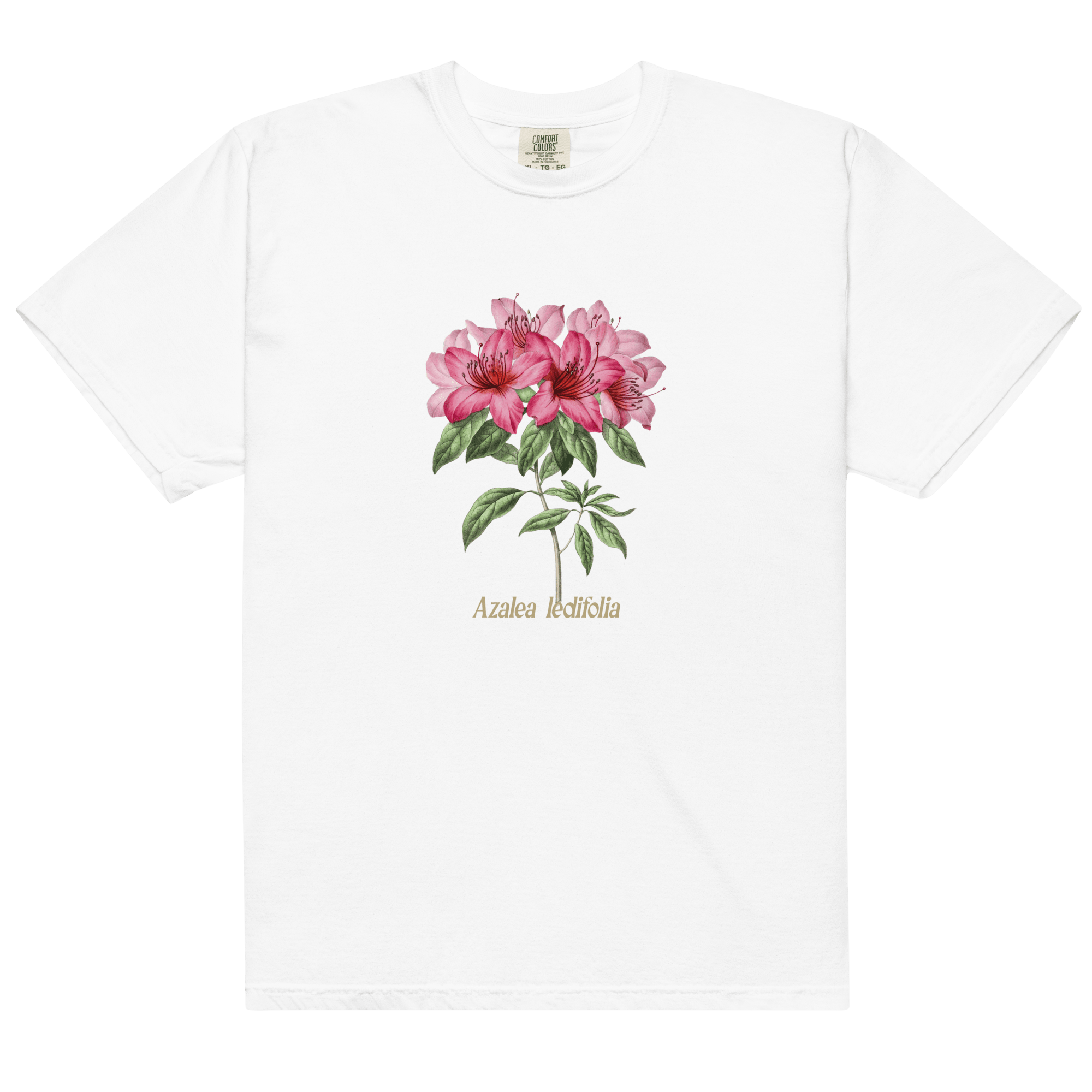 Pink Azalea Ledifolia Shirt - Polychrome Goods 🍊