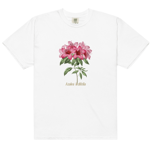 Chemise Rose Azalée Ledifolia