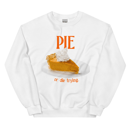 Pumpkin Pie or Die Trying Thanksgiving Sweatshirt - Polychrome Goods 🍊