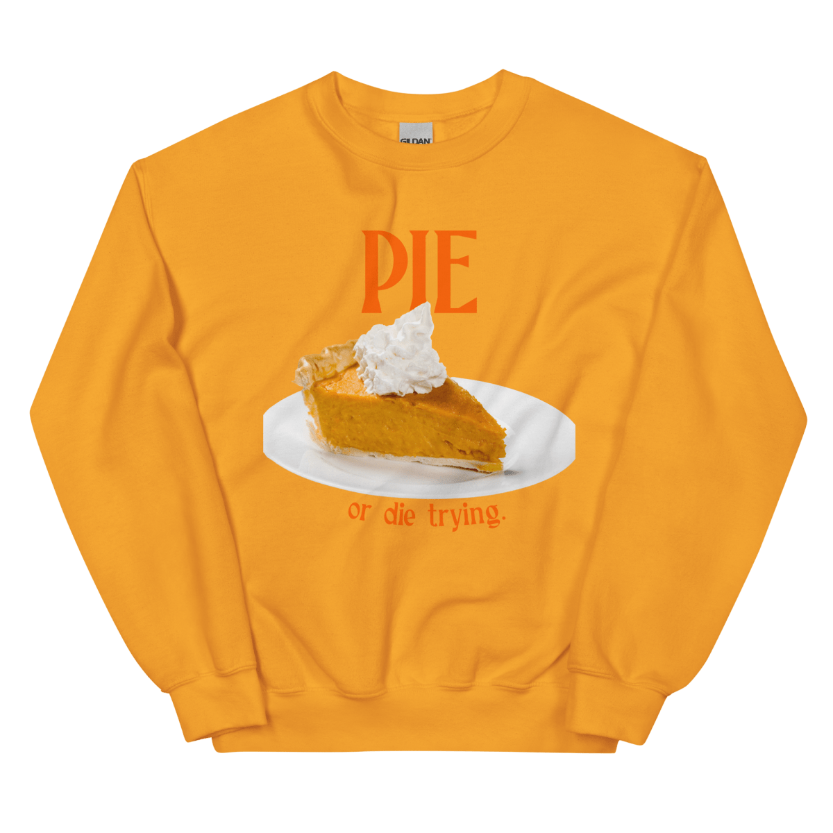 Pumpkin Pie or Die Trying Thanksgiving Sweatshirt - Polychrome Goods 🍊