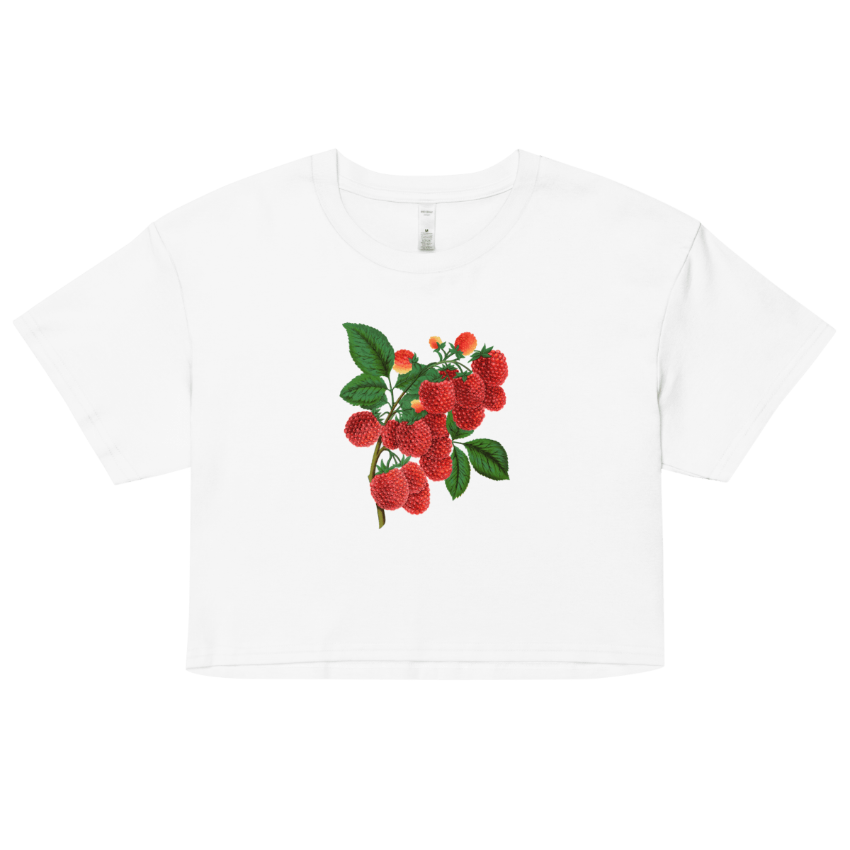 Raspberry Crop Top - Polychrome Goods 🍊