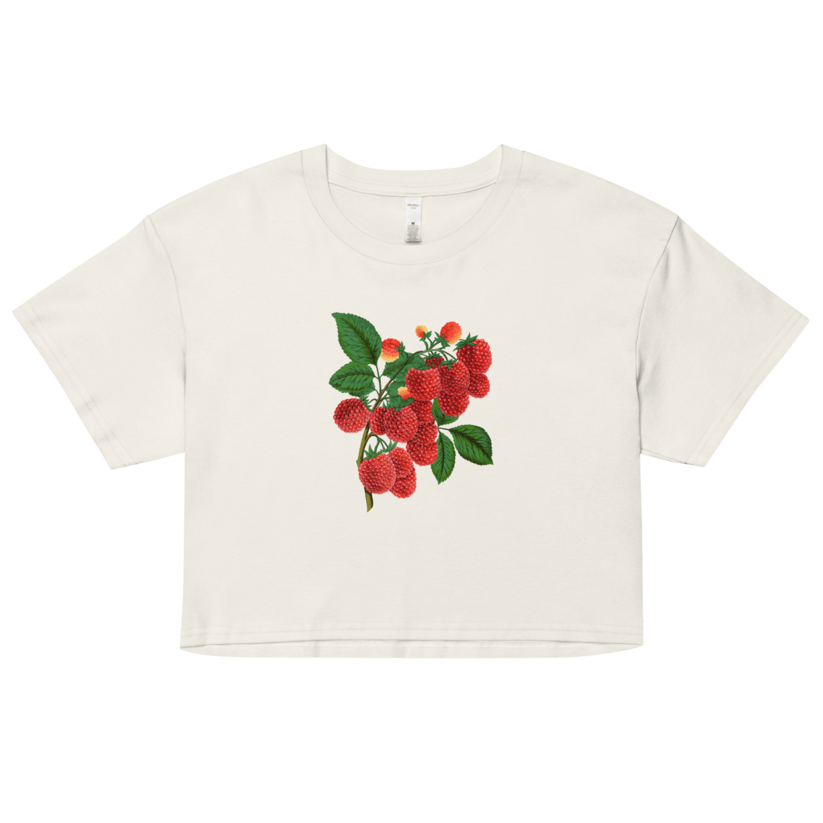 Raspberry Crop Top - Polychrome Goods 🍊