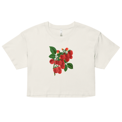 Raspberry Crop Top - Polychrome Goods 🍊