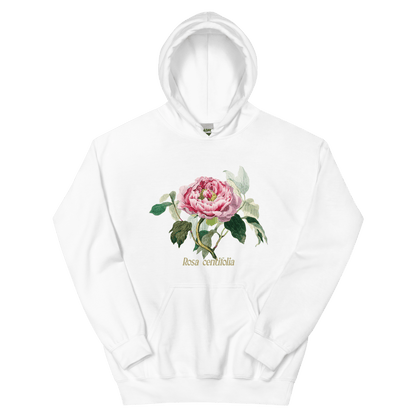 Rosa Centifolia Cabbage Rose Flower Hoodie - Polychrome Goods 🍊