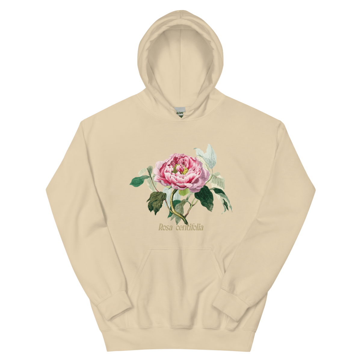 Rosa Centifolia Cabbage Rose Flower Hoodie - Polychrome Goods 🍊