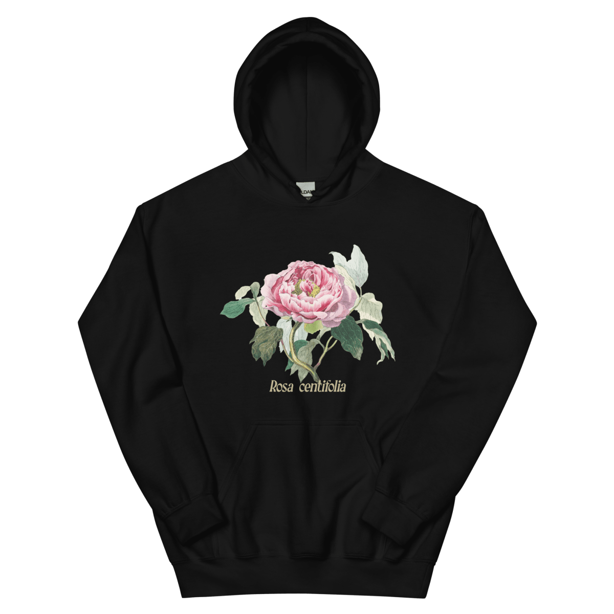 Rosa Centifolia Cabbage Rose Flower Hoodie - Polychrome Goods 🍊