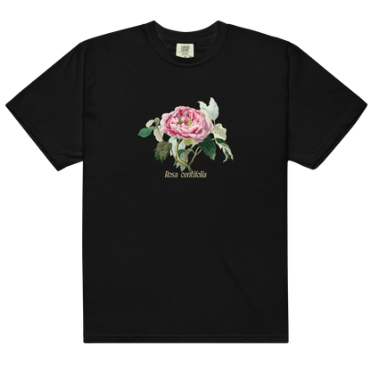 Rosa Centifolia Cabbage Rose Flower Shirt - Polychrome Goods 🍊