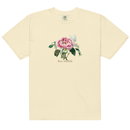 Rosa Centifolia Cabbage Rose Flower Shirt - Polychrome Goods 🍊