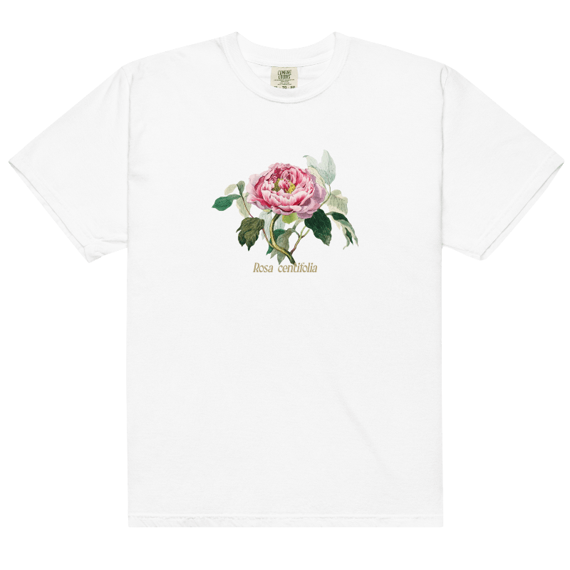 Rosa Centifolia Cabbage Rose Flower Shirt - Polychrome Goods 🍊