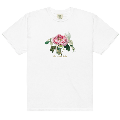 Rosa Centifolia Cabbage Rose Flower Shirt