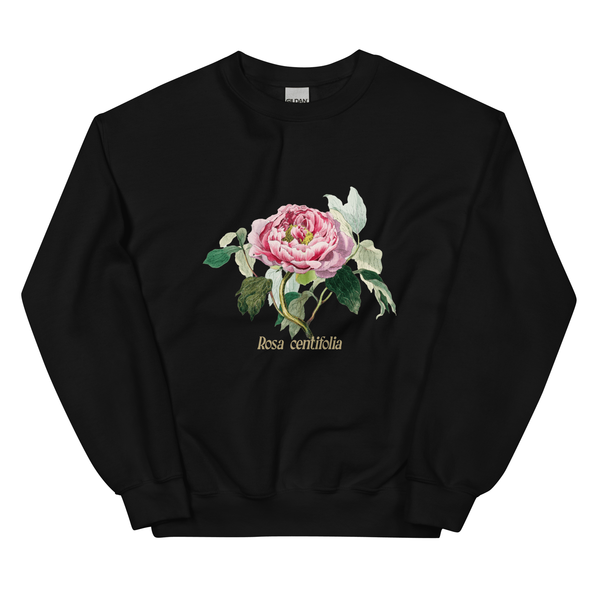 Rosa Centifolia Cabbage Rose Flower Sweatshirt - Polychrome Goods 🍊