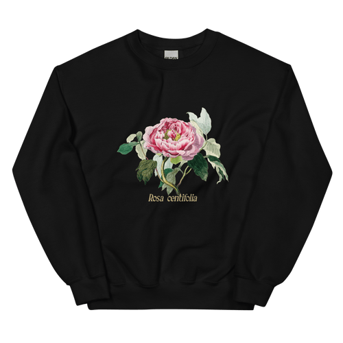 Sweat-shirt Rosa Centifolia Chou Rose Fleur